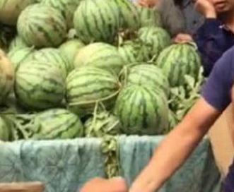 西昌吃瓜事件网红,网红引发的网络狂欢与反思 第2张 西昌吃瓜事件网红,网红引发的网络狂欢与反思 第2张